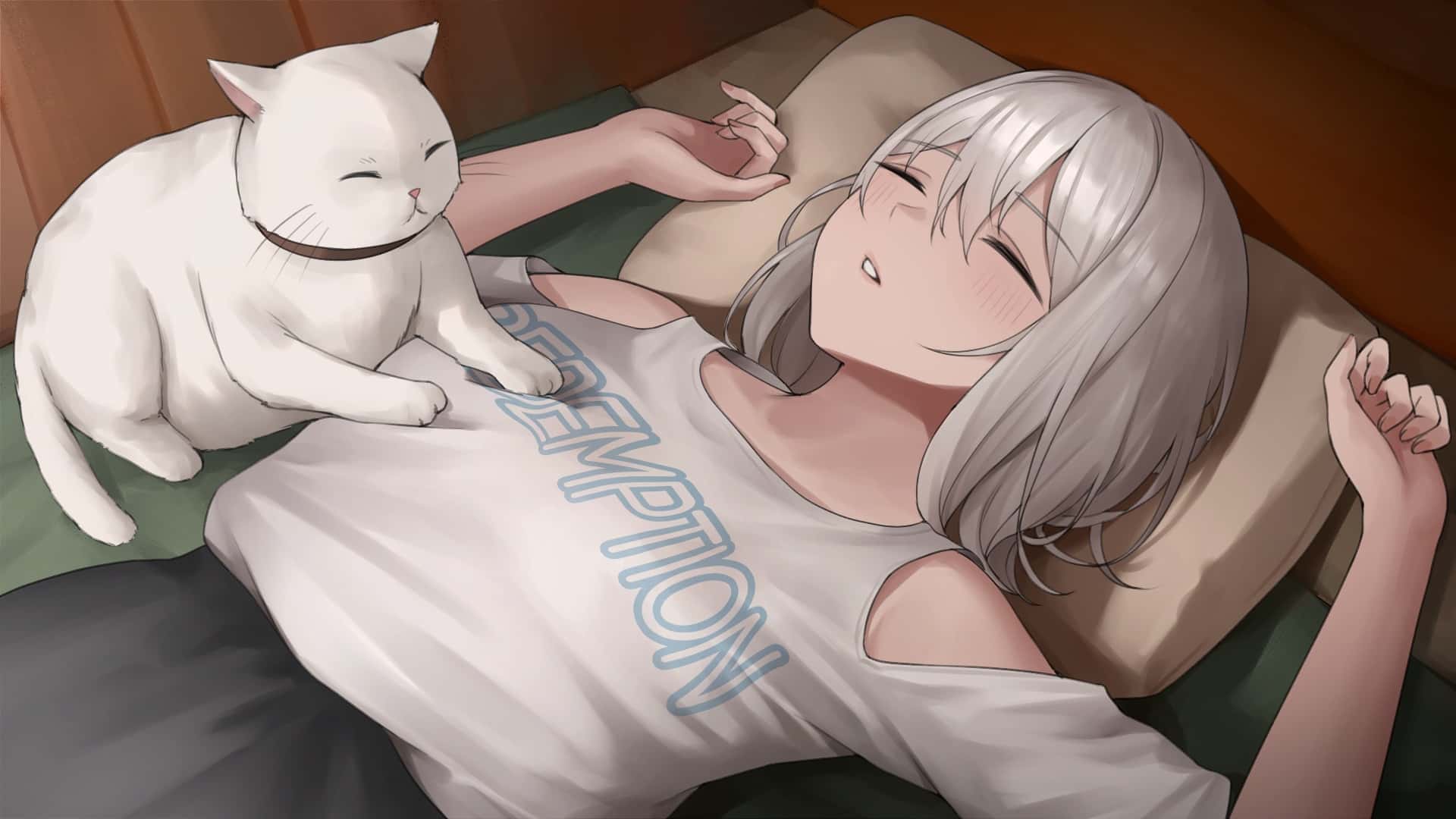 视觉数据6